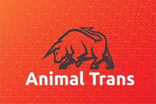 Animal Trans